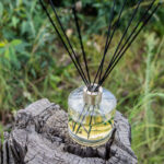 Citrus & Coconut – JN-CUBE 1